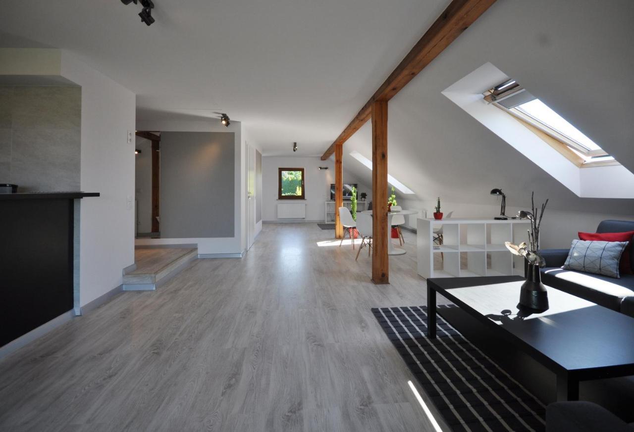 Apartmán Apartament Widok Na Karkonosze Jezow Sudecki Exteriér fotografie