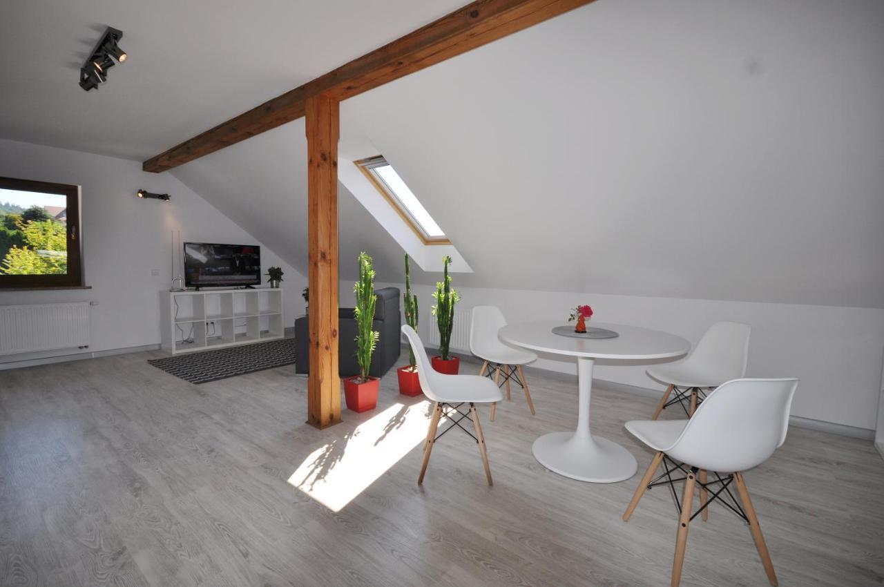 Apartmán Apartament Widok Na Karkonosze Jezow Sudecki Exteriér fotografie
