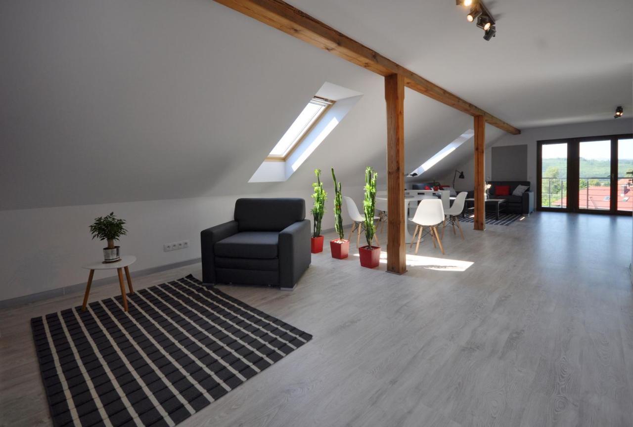 Apartmán Apartament Widok Na Karkonosze Jezow Sudecki Exteriér fotografie