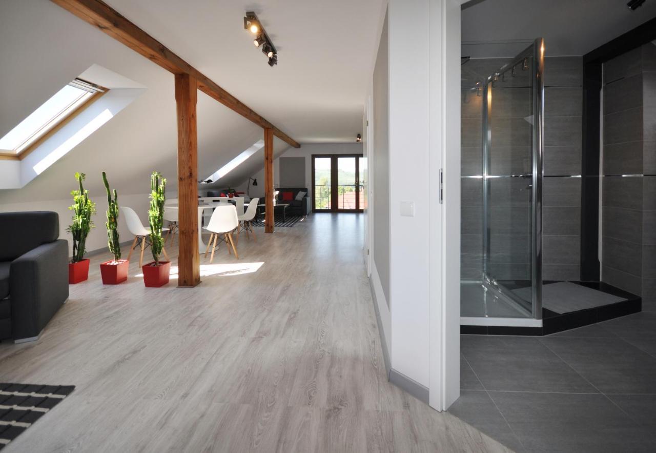 Apartmán Apartament Widok Na Karkonosze Jezow Sudecki Exteriér fotografie