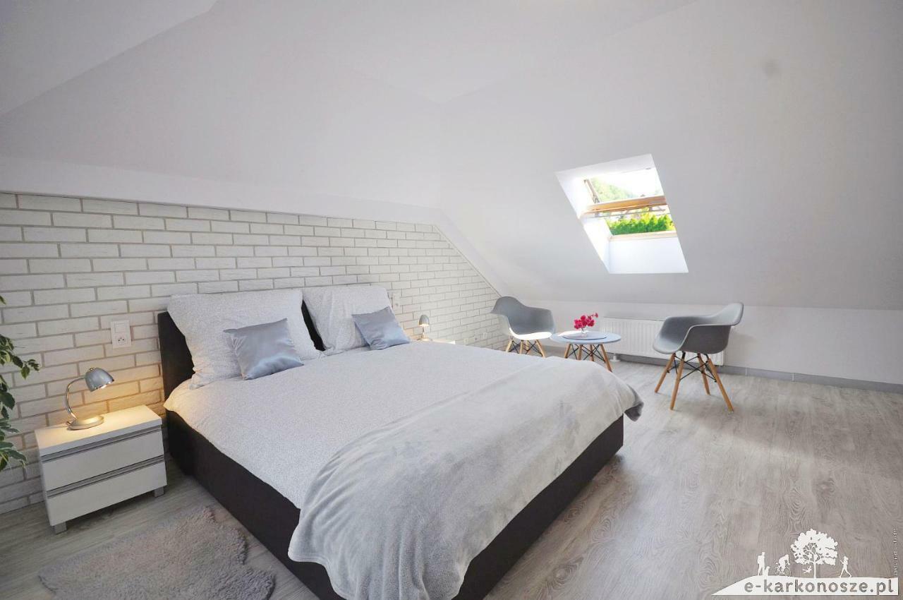 Apartmán Apartament Widok Na Karkonosze Jezow Sudecki Exteriér fotografie
